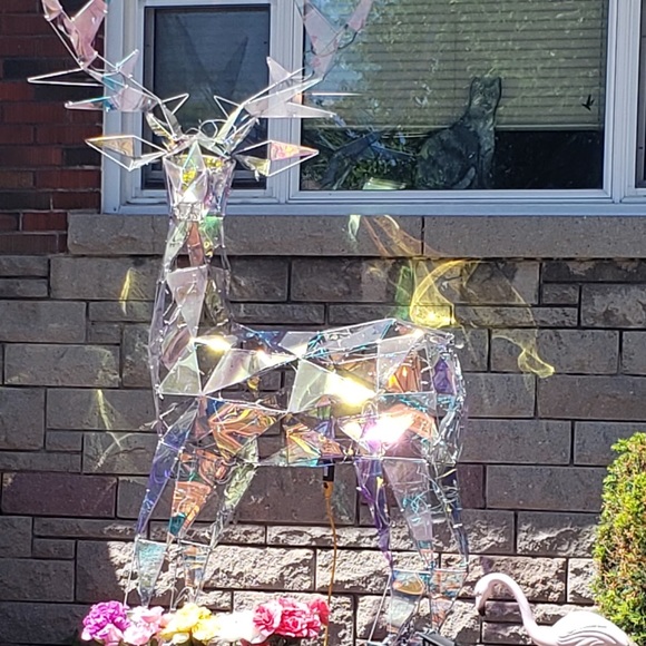 Meet your Posher, Nicole - Picture 1 of 1